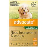 Advocate for Dogs