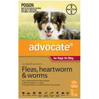 Advocate for Dogs