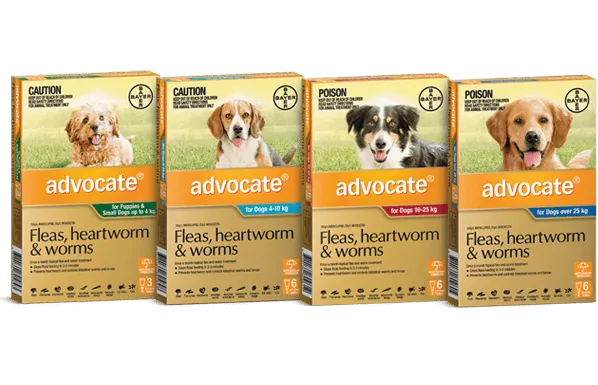 Advocate for Dogs