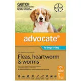 Advocate for Dogs