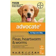 Advocate for Dogs