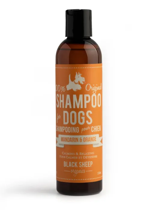 Black Sheep Organics - Mandarin & Orange Organic Shampoo