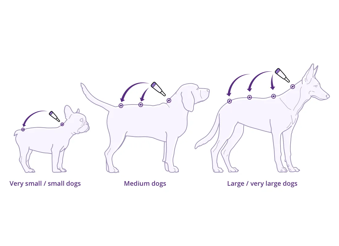 Bravecto Spot On For Dogs Pink 40-56kg