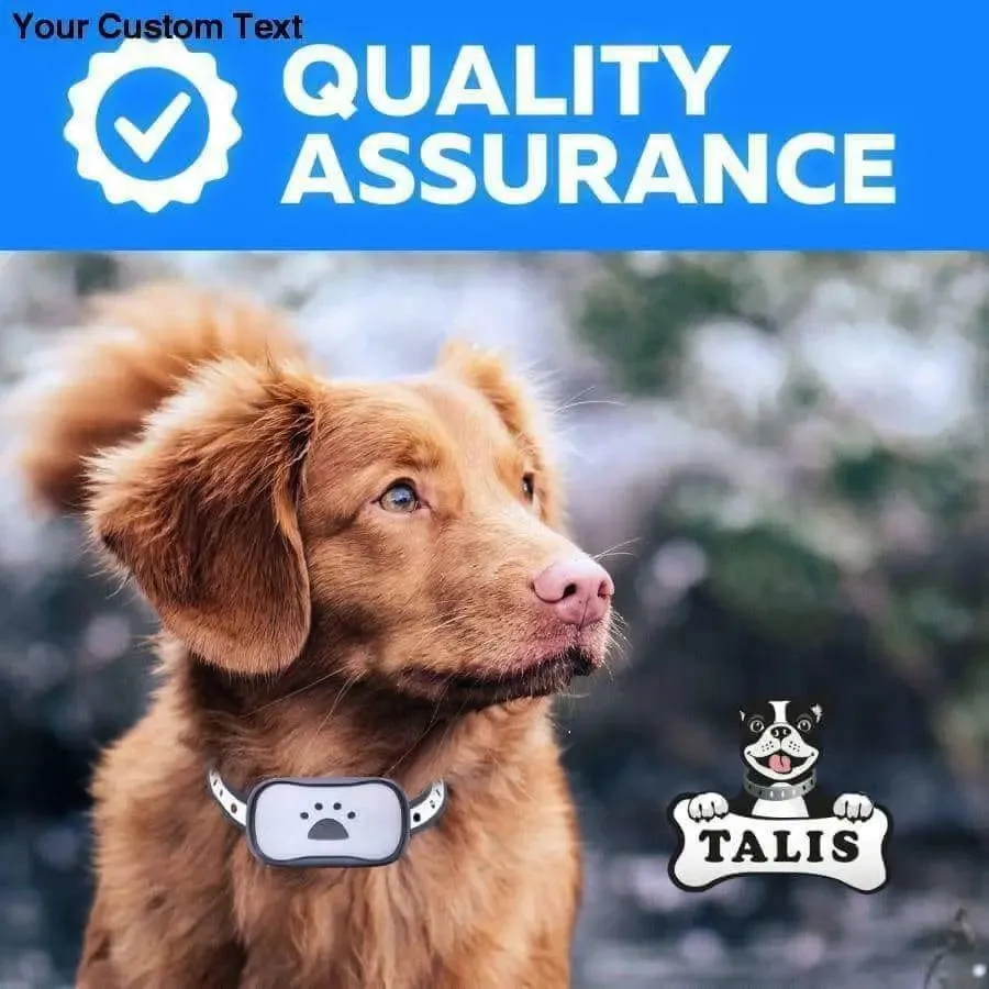 Collar Dog Bark Anti No Barking Shock Training Pet Control Rechargeable Small