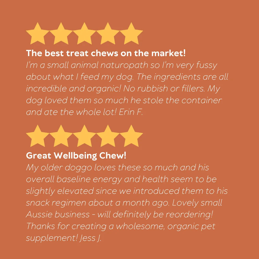 Daily Wellbeing Dog Supplement - Organic Multivitamin Chews