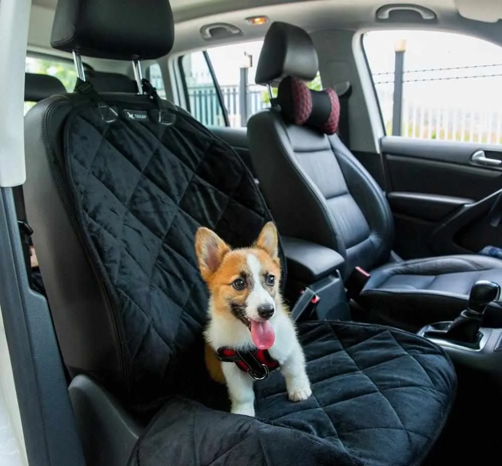 Dog Car Seat Cover