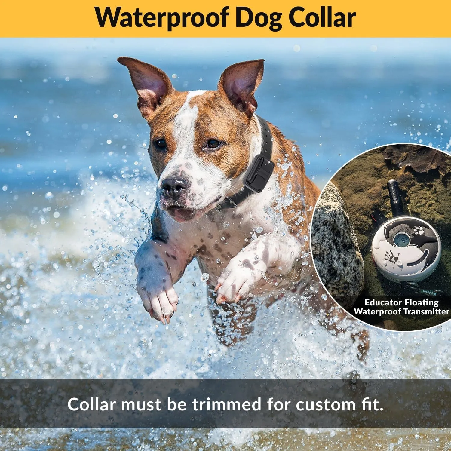E-Collar Dog Training Collar, Rechargeable Remote   Finger Clicker, for Small to Medium Dogs, Humane Tapping Stimulation, 100 Levels, Tone, Light, 1/2 Mile 1 Dog, Zen