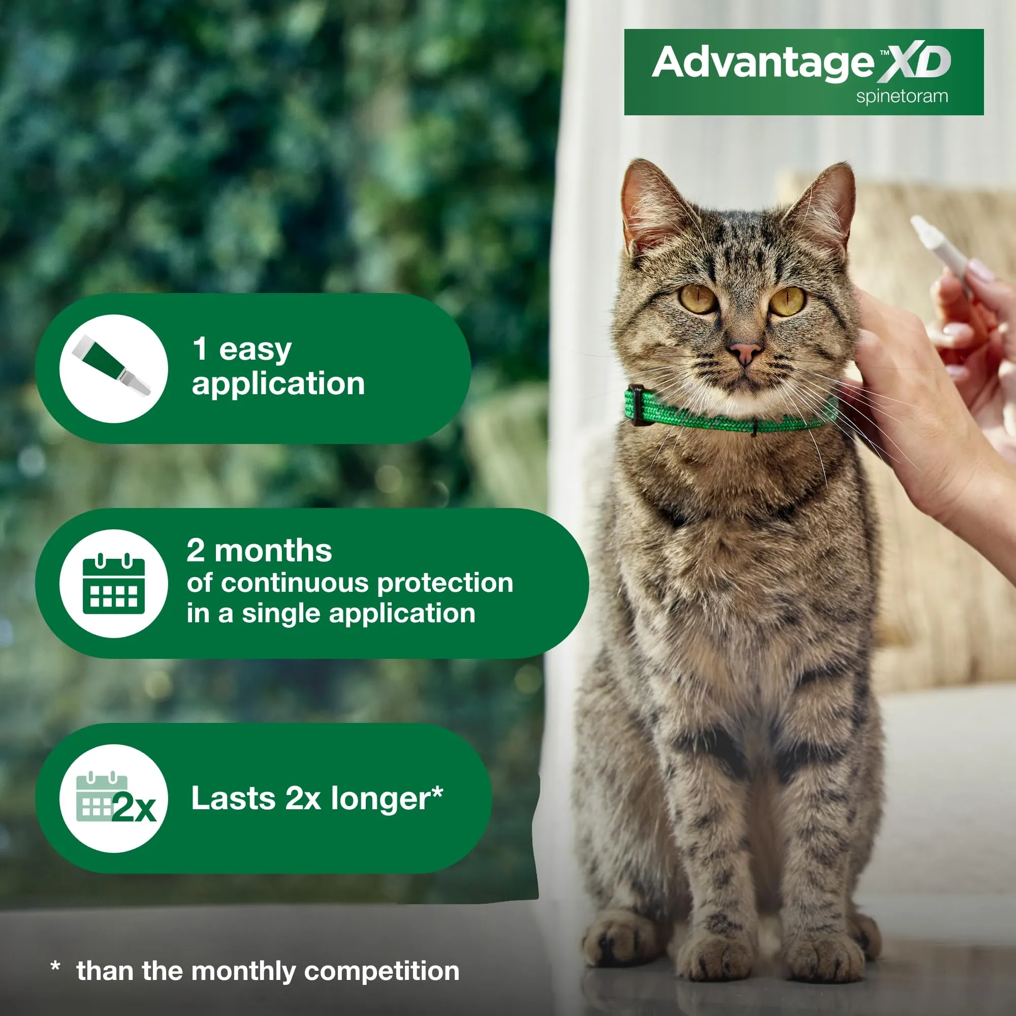 Elanco Advantage XD Extended Large Cat 2-Month 1-Dose Flea and Tick Spot-on Treatment - 9  Lbs