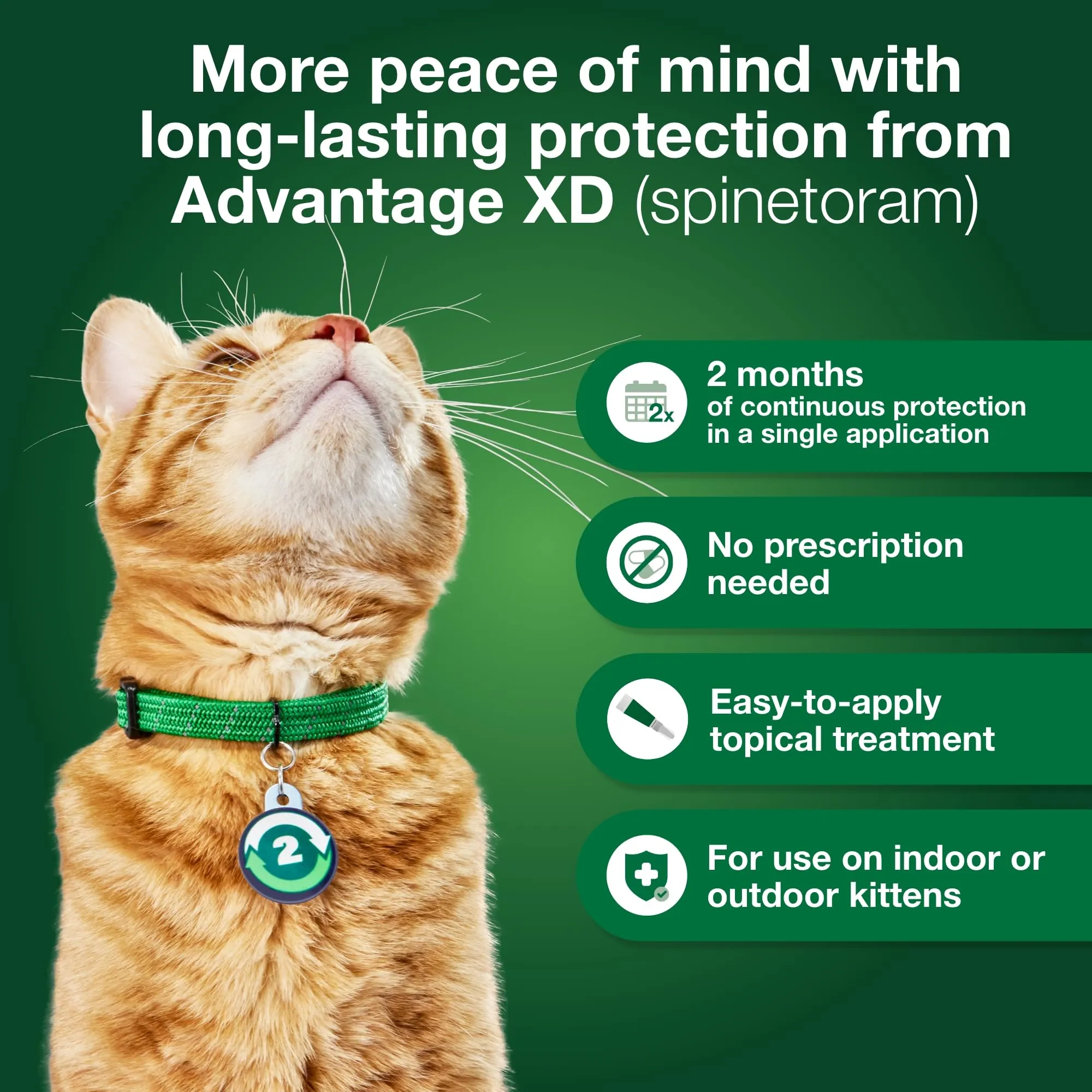 Elanco Advantage XD Extended Large Cat 2-Month 1-Dose Flea and Tick Spot-on Treatment - 9  Lbs
