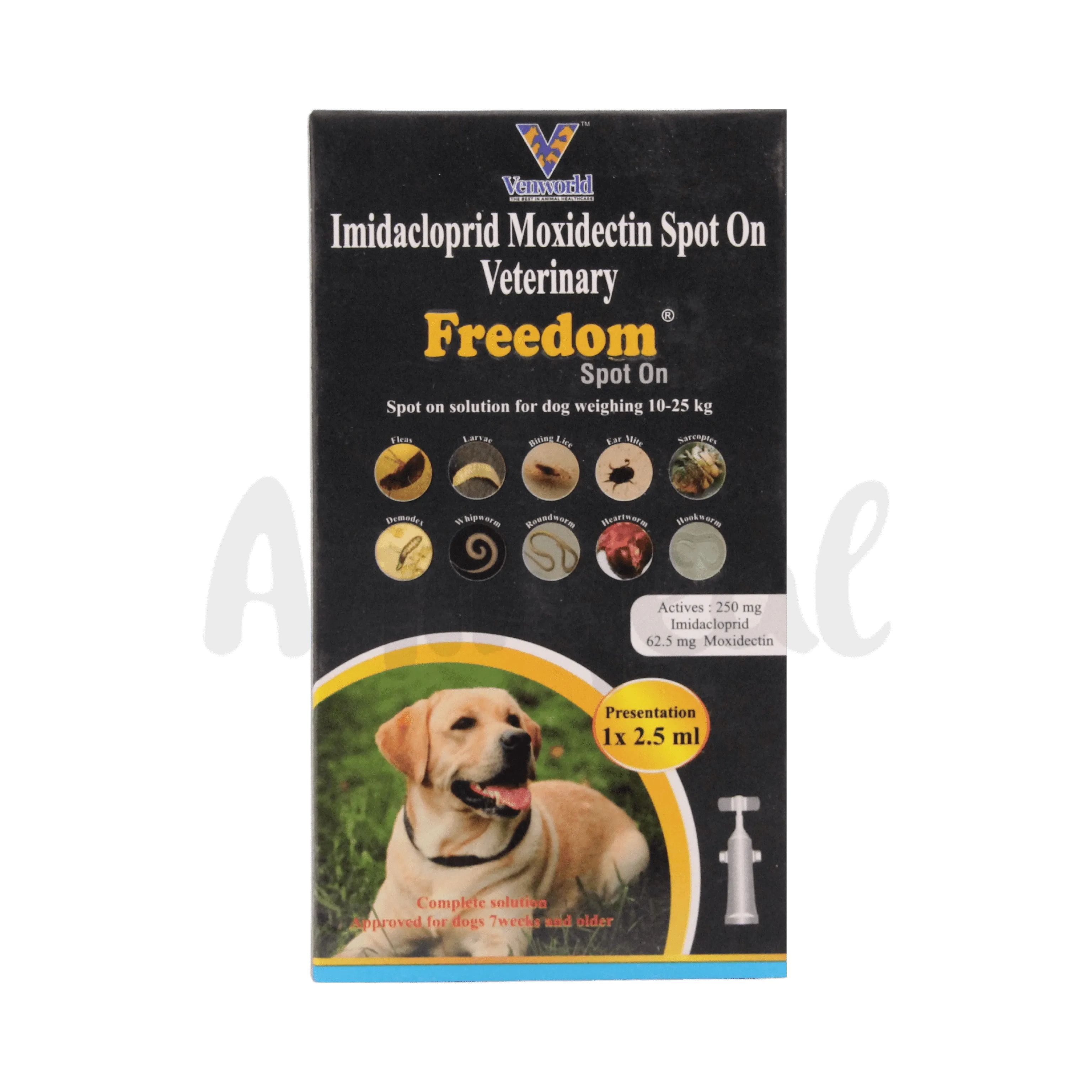 FREEDOM SPOT ON (S)