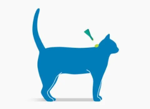 FRONTLINE Plus Spot On for Cats - Flea and Tick Protection- 1 Pipette