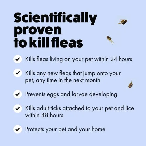 Itch Flea Large Dog Spot-on Flea & Tick Treatment (20-40kg) 3 pipettes