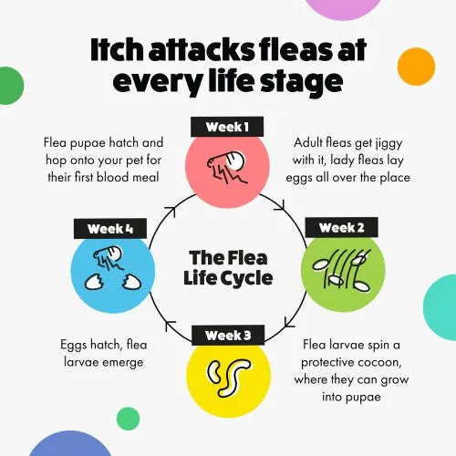 Itch Flea Large Dog Spot-on Flea & Tick Treatment (20-40kg) 3 pipettes