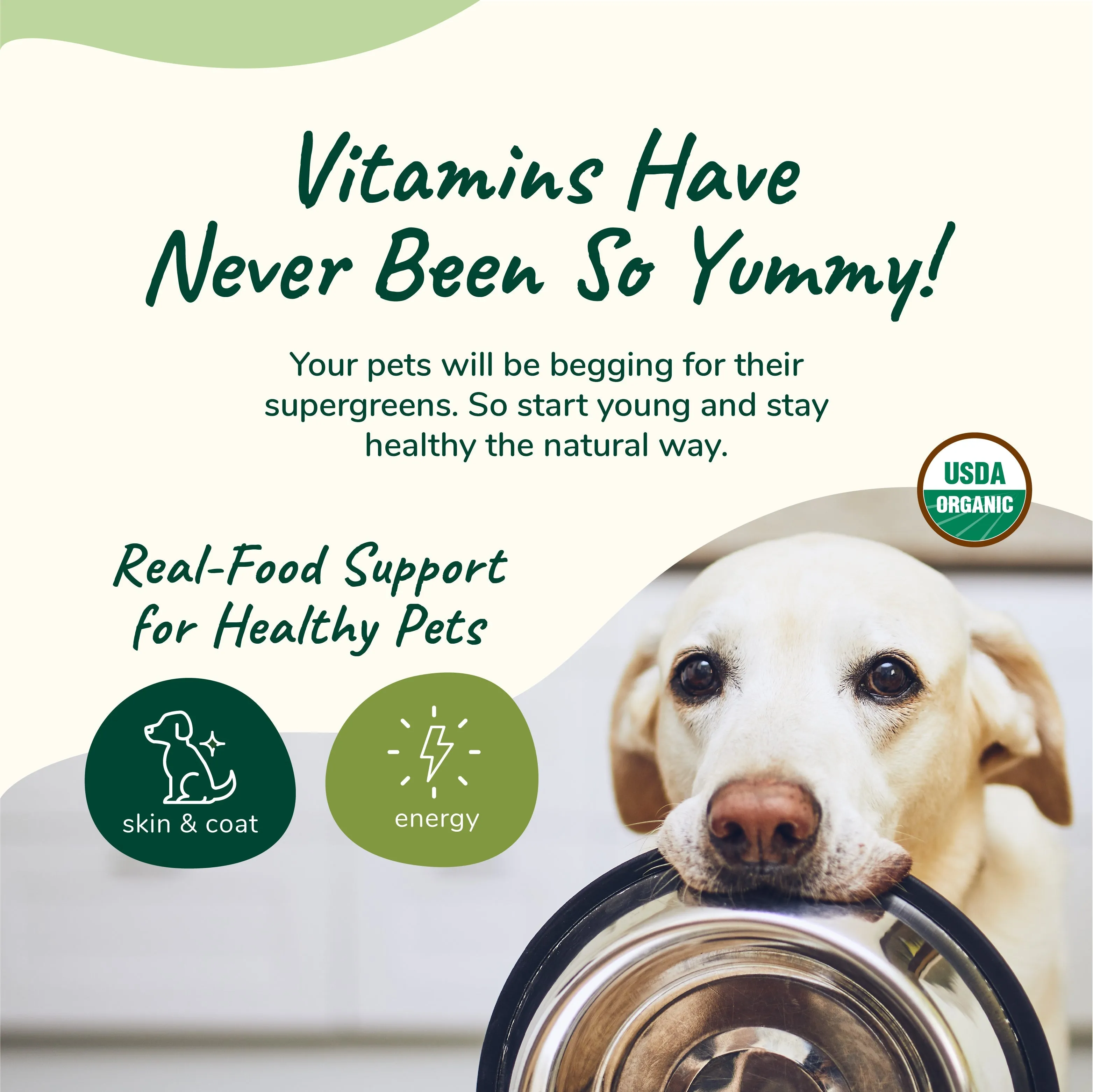 Kin Kind Supplement Raw Vitaboost Multivitamin 8oz
