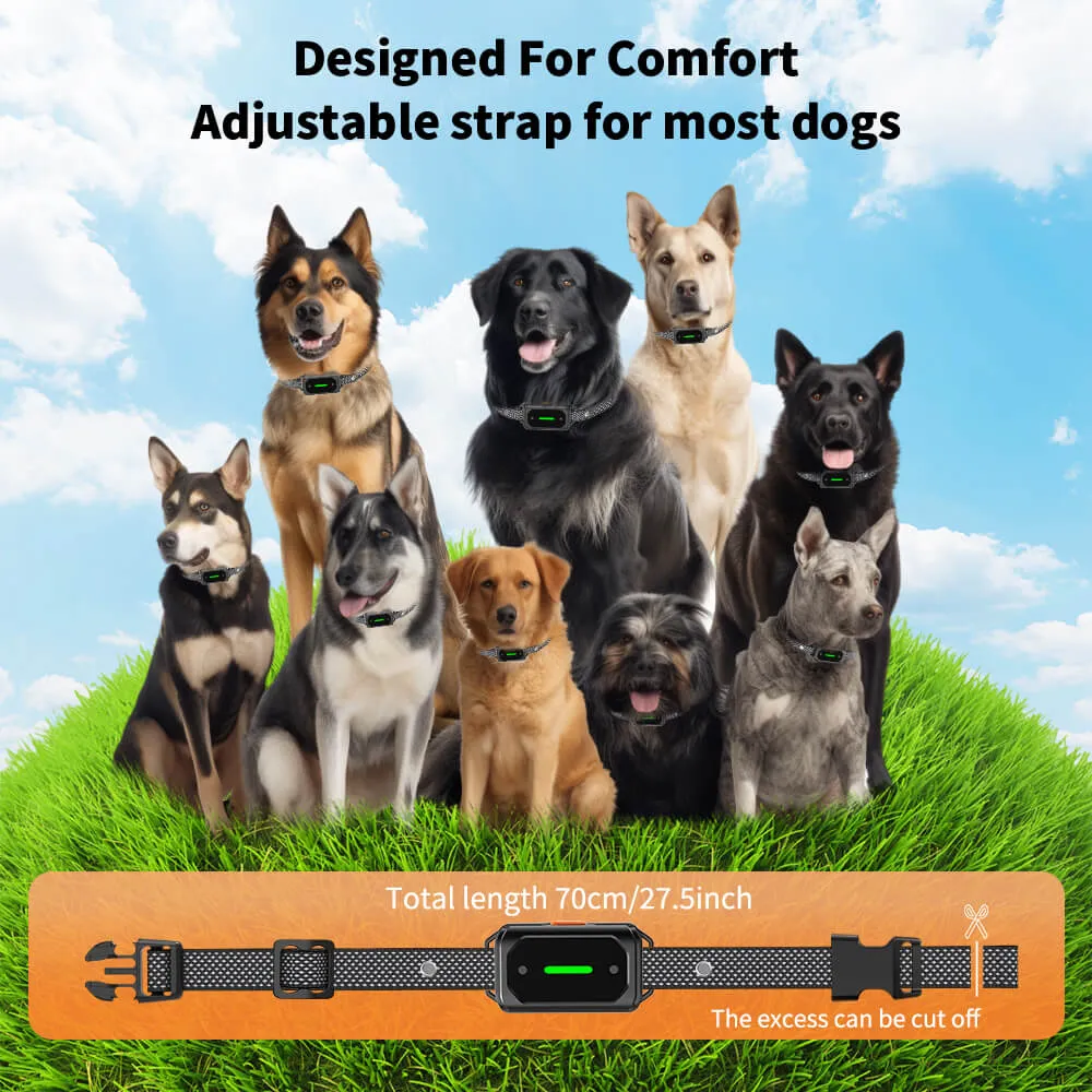Masbrill Dog Shock Collar 2600FT with LED Light for Night Walks -TZ943