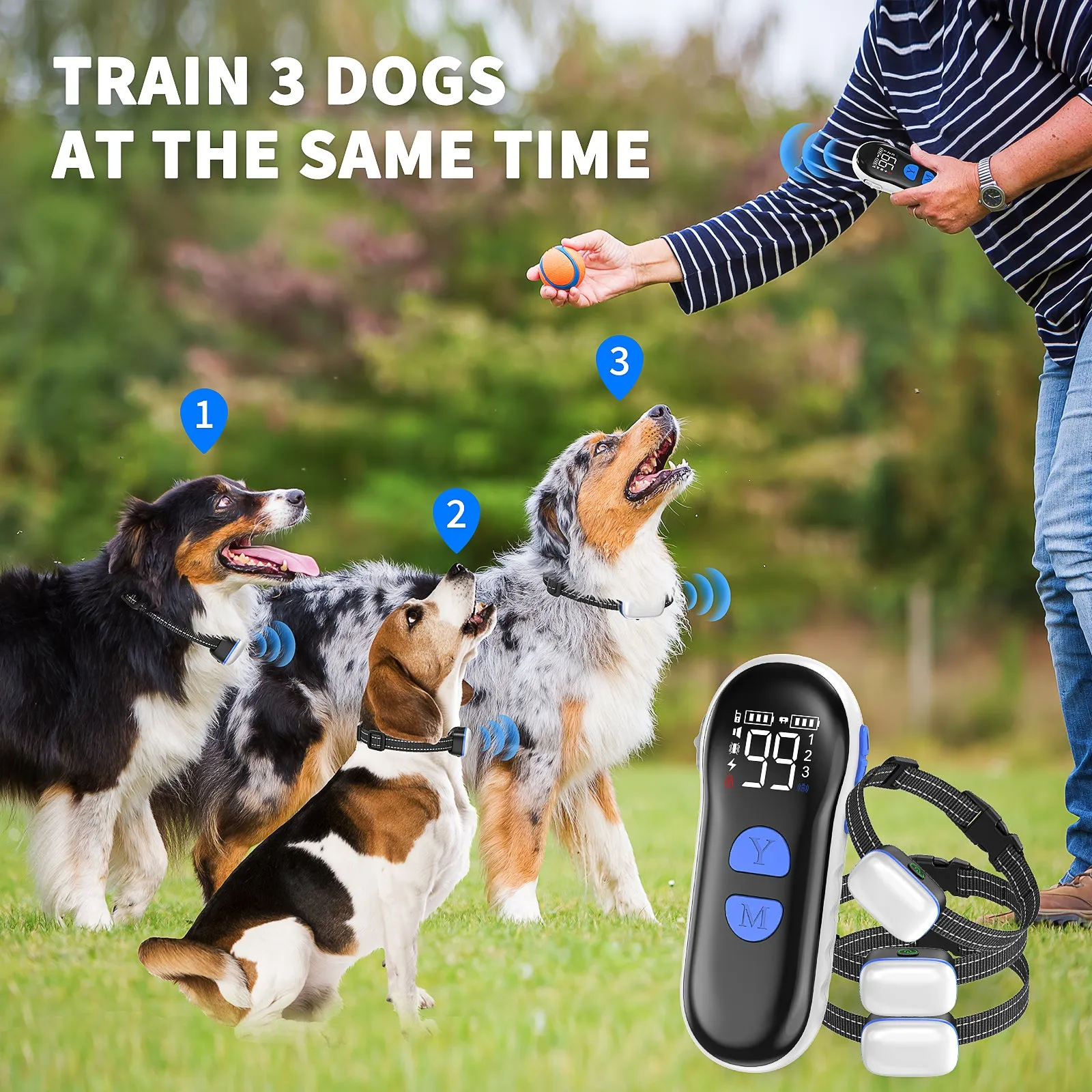 MASBRILL Dog Training Collar with Remote - Dog Shock Collar for Large Small Medium Dogs with 2600FT Remote, Rechargeable Dog Bark Collar with Beep/Vibration/Shock Modes, Security Lock, Rainproof