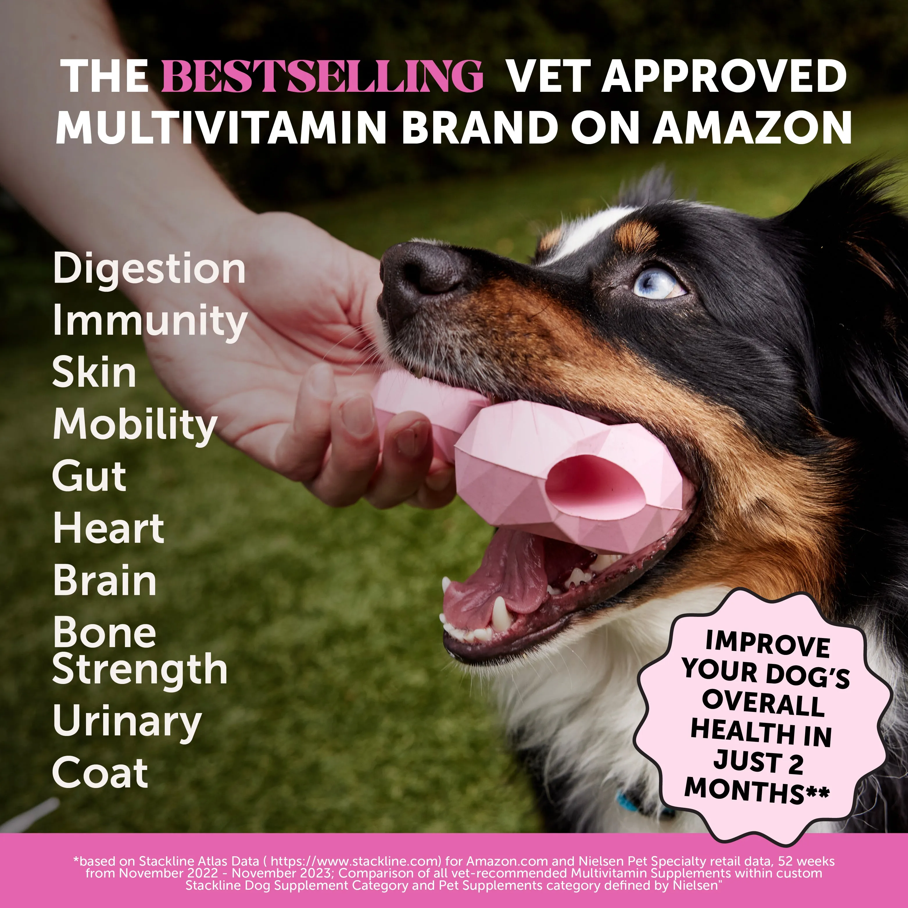 Multivitamin 10-in-1 3-Pack (Chicken Flavor)