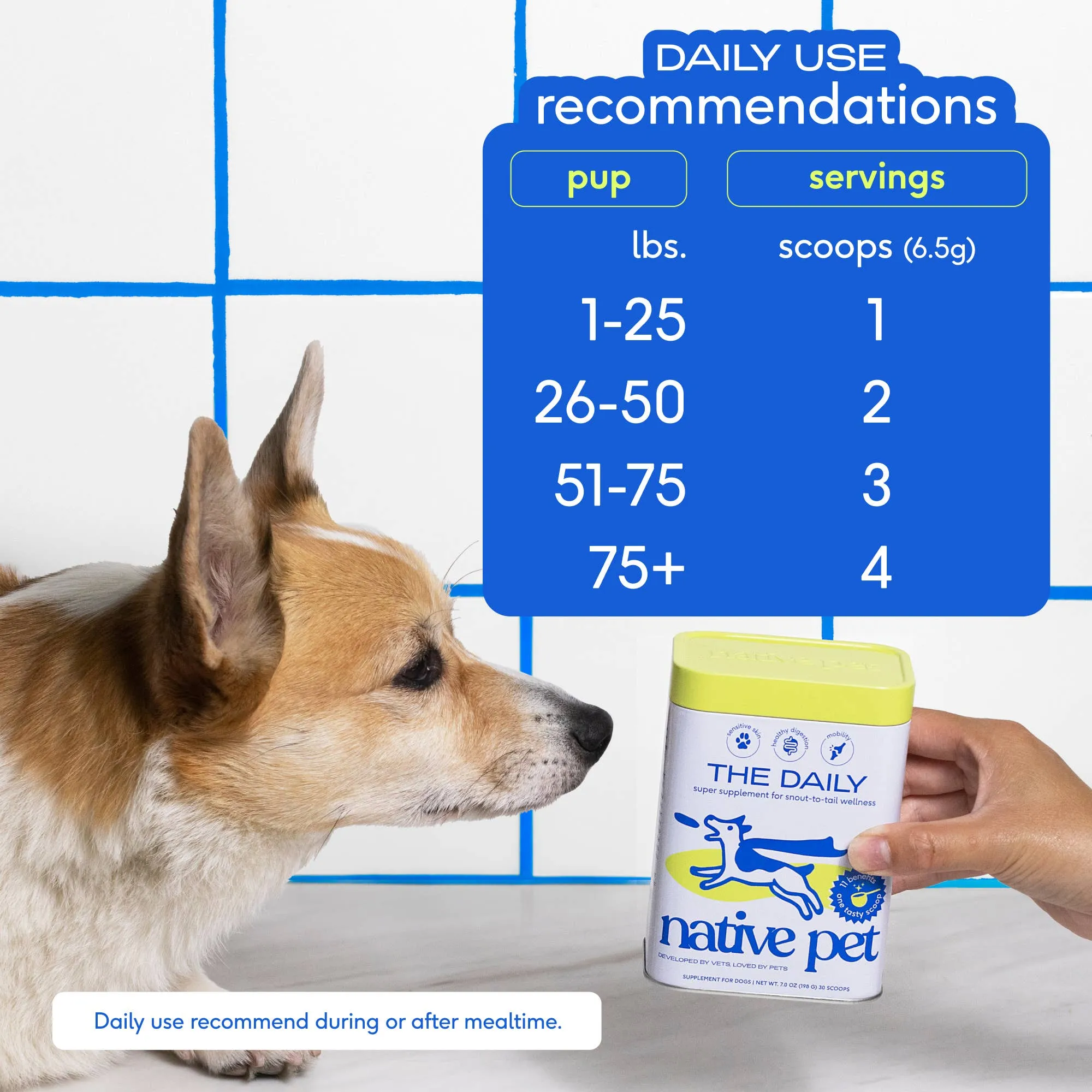 Native Pet The Daily Powder 11-in-1 Multivitamin Supplement for Dogs