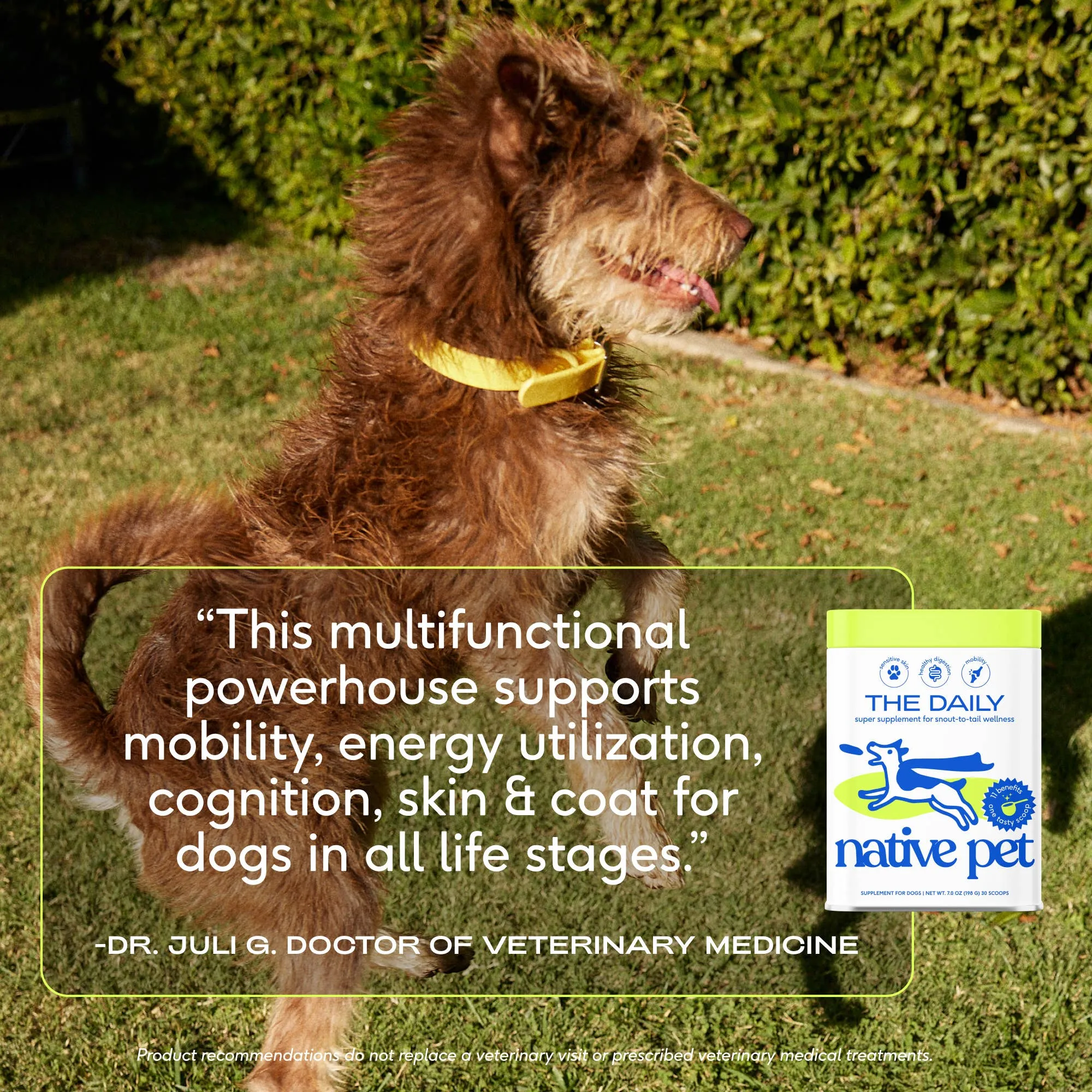 Native Pet The Daily Powder 11-in-1 Multivitamin Supplement for Dogs
