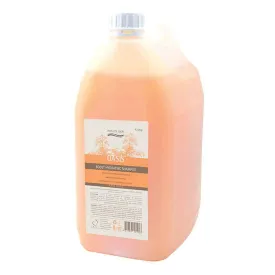 Natural Look Oasis Boost Hydrating Shampoo