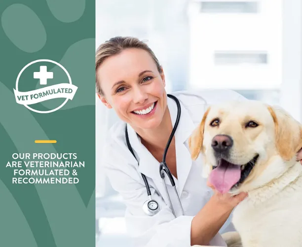 NaturVet Glucosamine DS Plus Moderate Care Level 2 Soft Chews for Dogs (60ct)