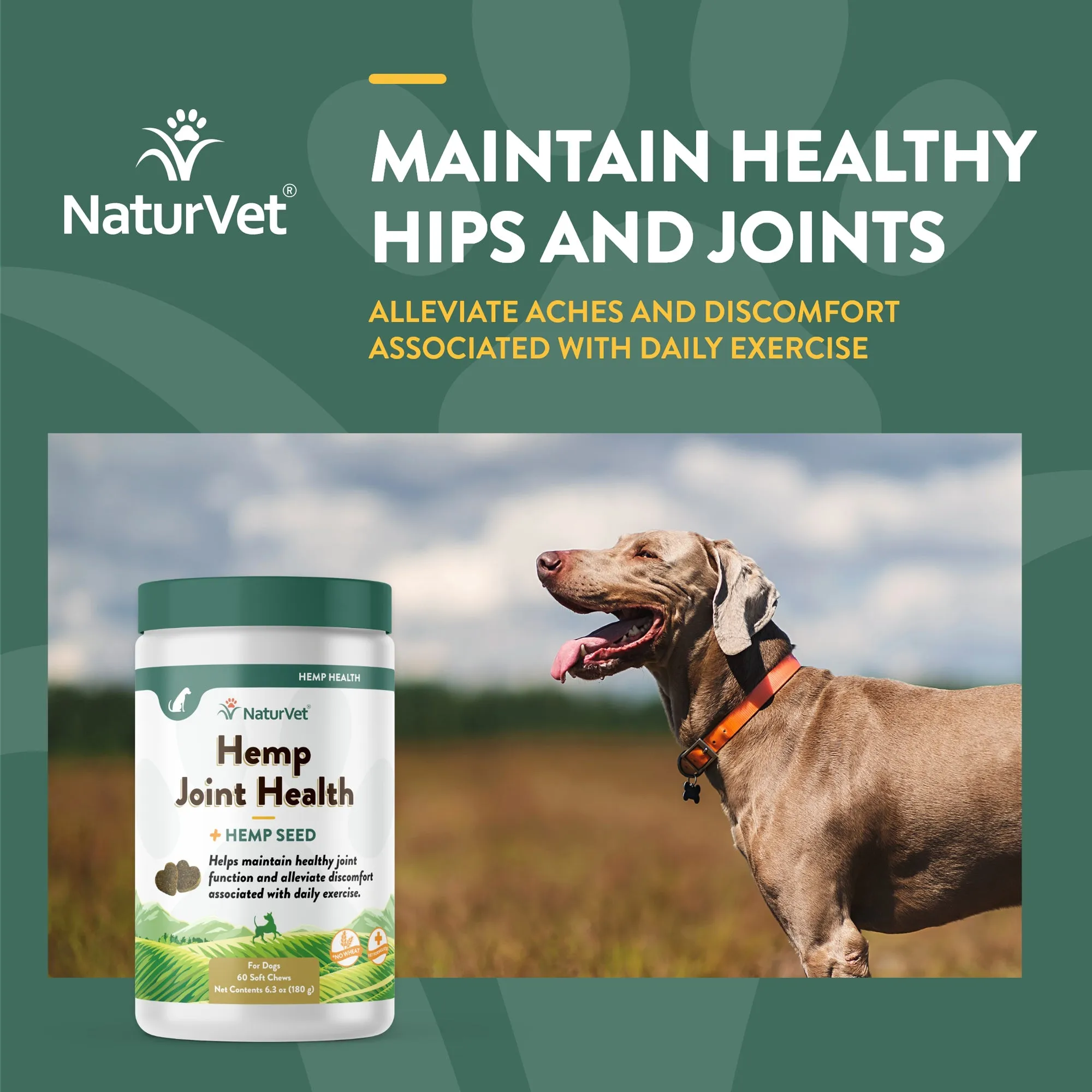 NaturVet Hemp Soft Chew Hip and Joint Supplement for Dogs