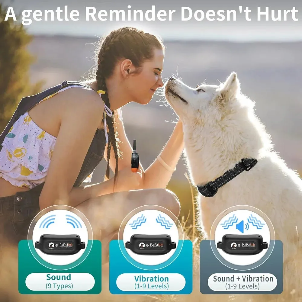 PaiPaitek  Dog Training Collar