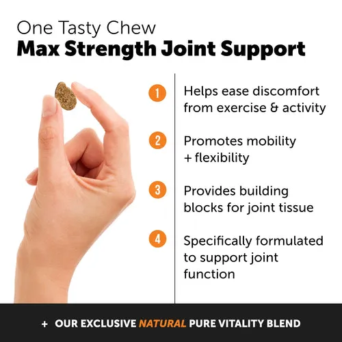 Pet Honesty Hip   Joint Health Max Strength Bacon Flavor for Dogs