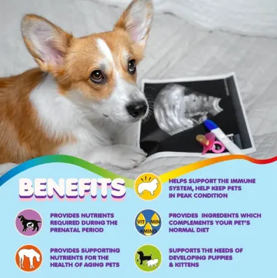 Prenatal Multivitamin with Folic Acid Minerals and Amino Acids Ideal for Pregnant Breast Feeding and Newborn and Senior Dogs
