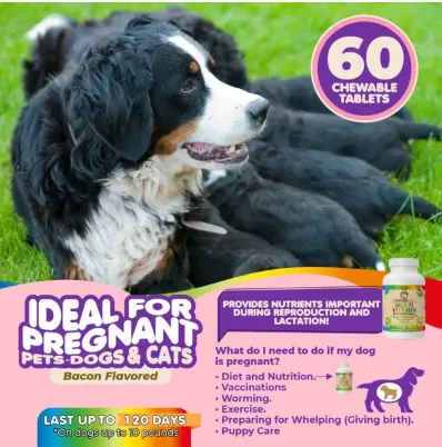 Prenatal Multivitamin with Folic Acid Minerals and Amino Acids Ideal for Pregnant Breast Feeding and Newborn and Senior Dogs