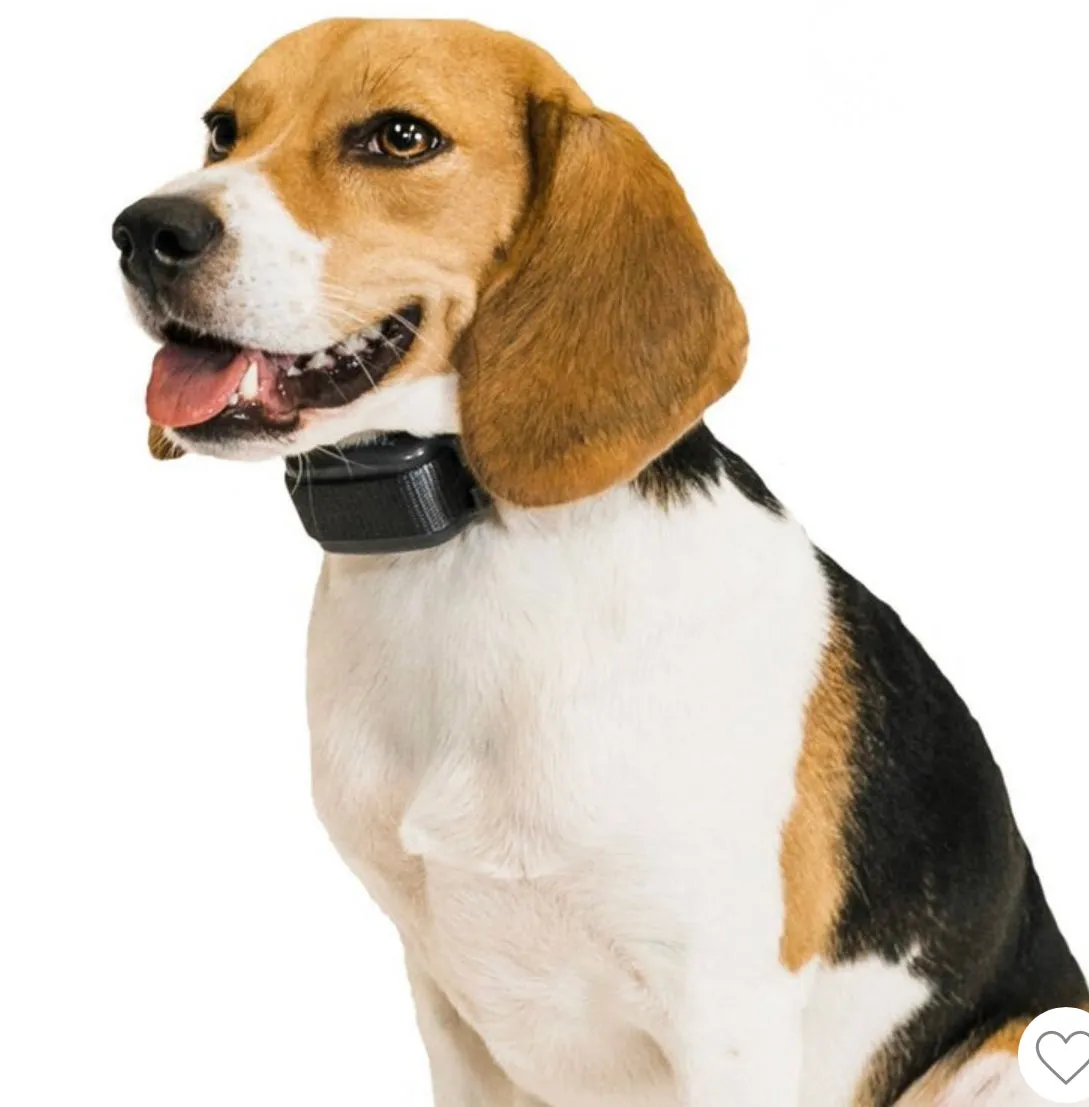 Prevue Pet Rechargeable Bark Collar