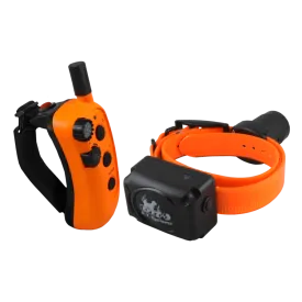 RAPT 1450 Upland Beeper Trainer