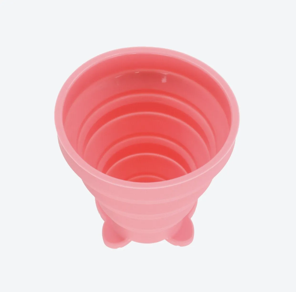 TDR - Toothbrush & Silicone Collapsible Travel Cup Set x Minnie Mouse
