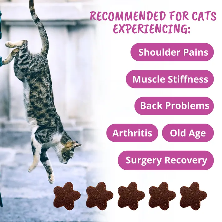 Under the Weather Mobility Soft Chews Supplement for Cats