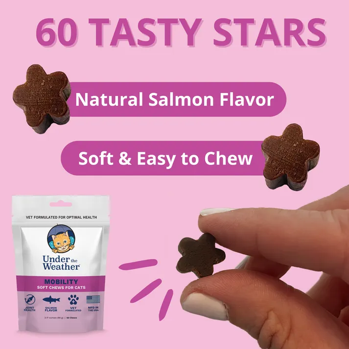 Under the Weather Mobility Soft Chews Supplement for Cats