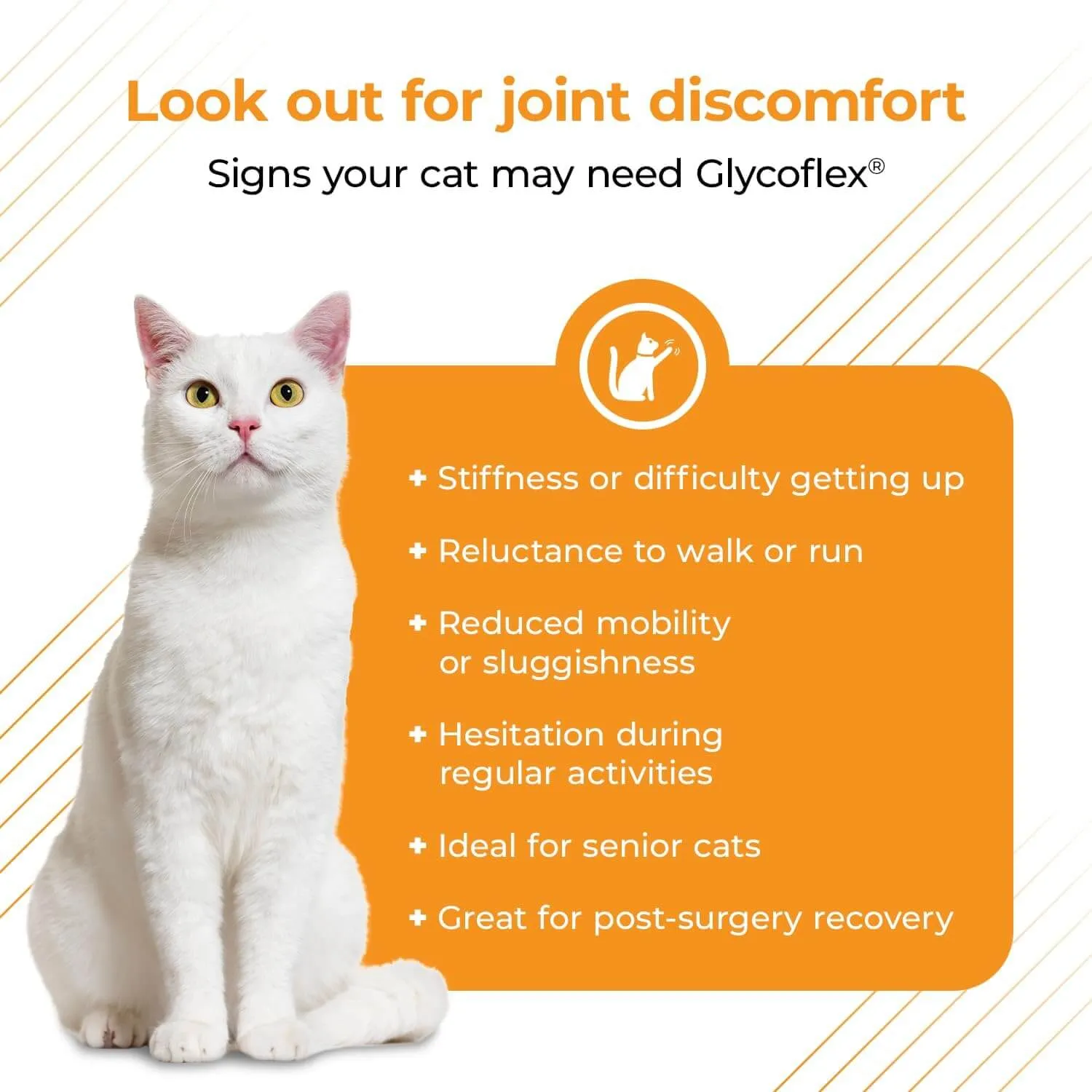VetriScience Glyco-Flex Cat Supplement