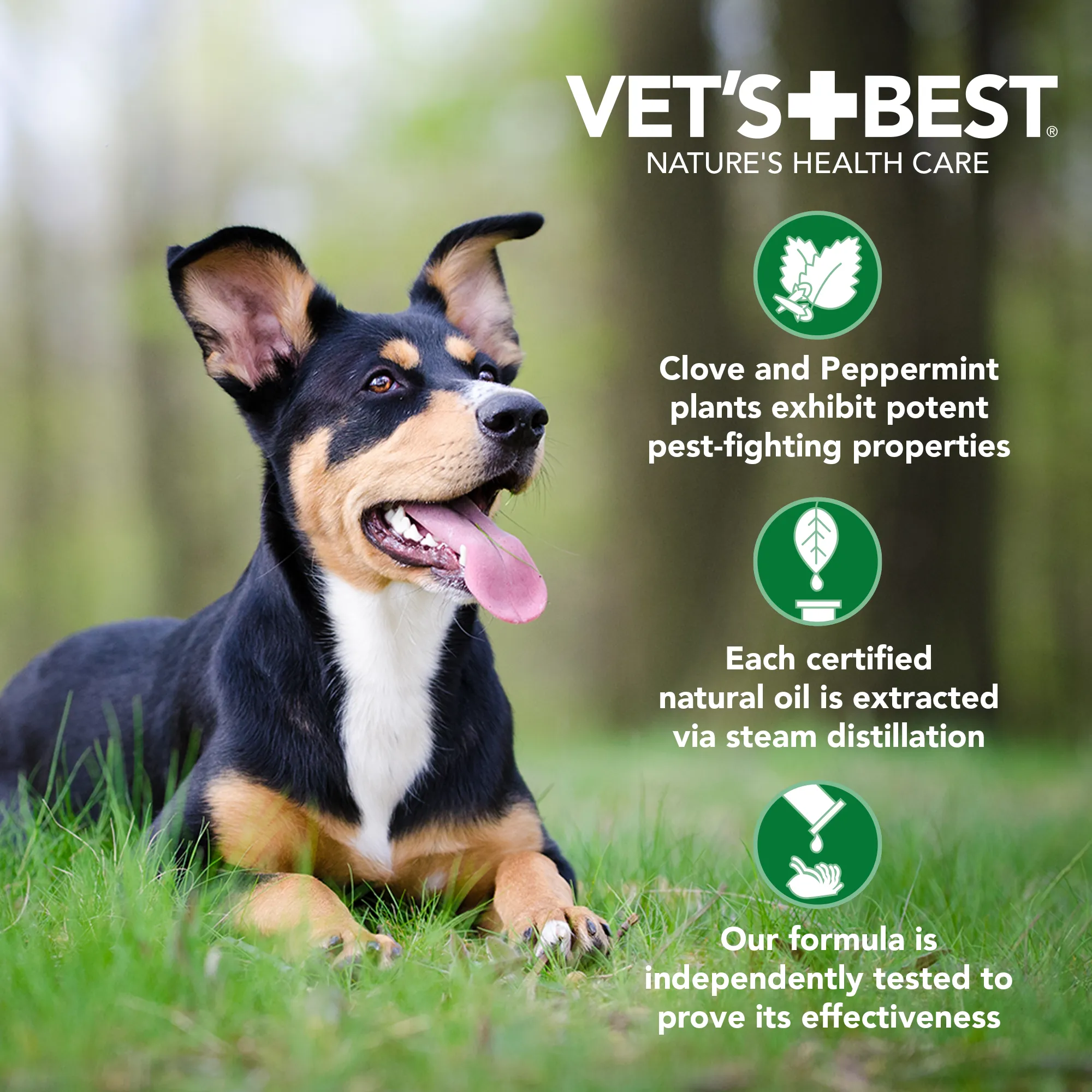 Vet's Best Flea and Tick Spot-On Small 4ct.