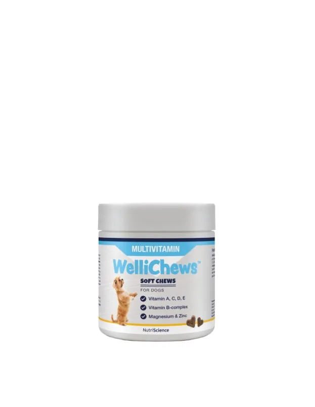 Wellichew - Multi-Vitamin Dog 60 Chews - 115g