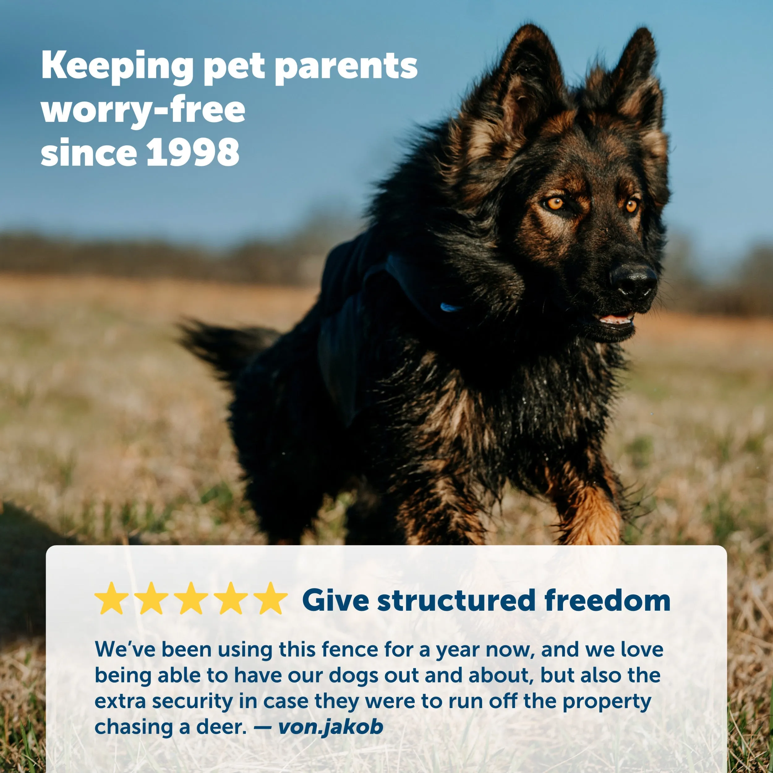YardMax® Rechargeable In-Ground Fence™ Receiver Collar