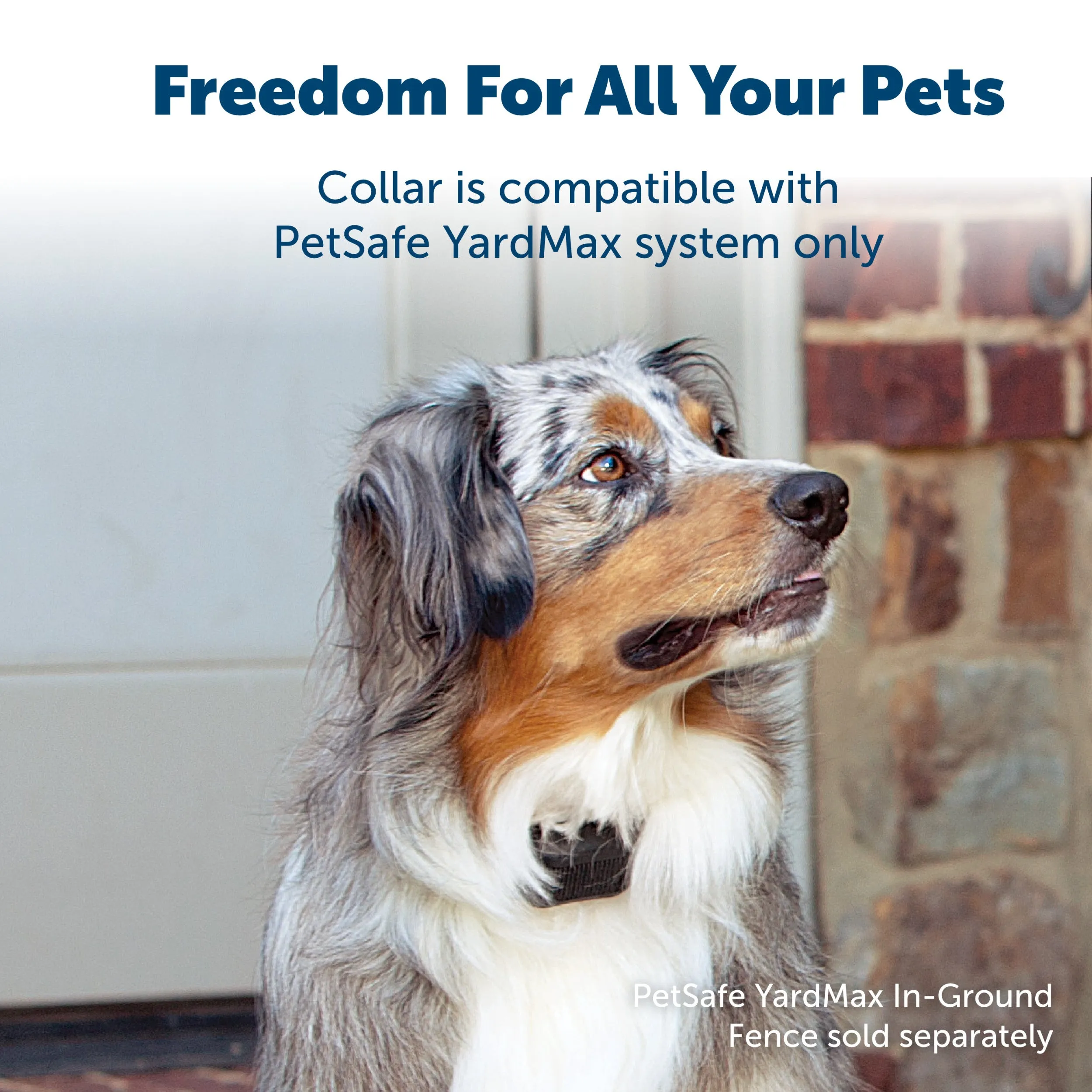 YardMax® Rechargeable In-Ground Fence™ Receiver Collar