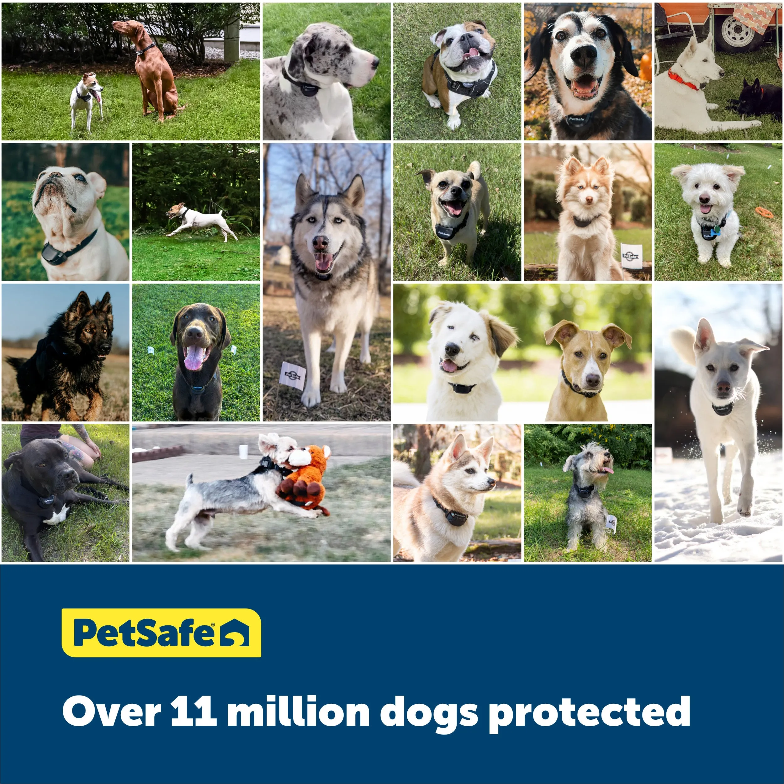YardMax® Rechargeable In-Ground Fence™ Receiver Collar